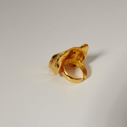 Anillo Mishuo