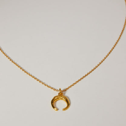 Cadena Luna Charm