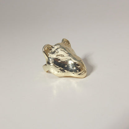Anillo Mishuo
