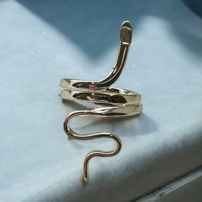 Anillo Snake
